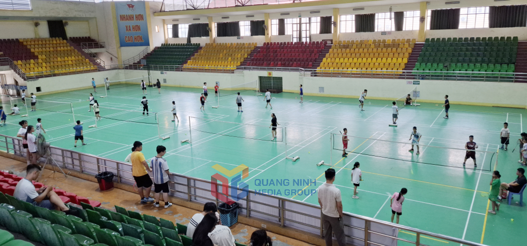 CÔNG TY CỔ PHẦN HAVIC